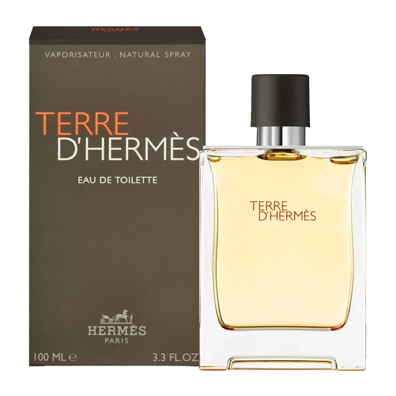 Terre D’Hermés Edt 100 ml